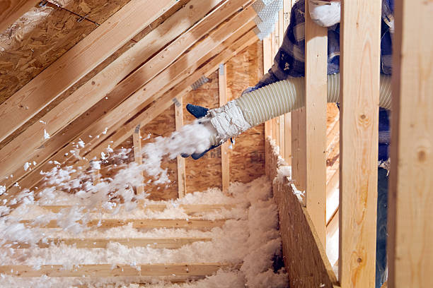 Best Insulation Air Sealing  in USA